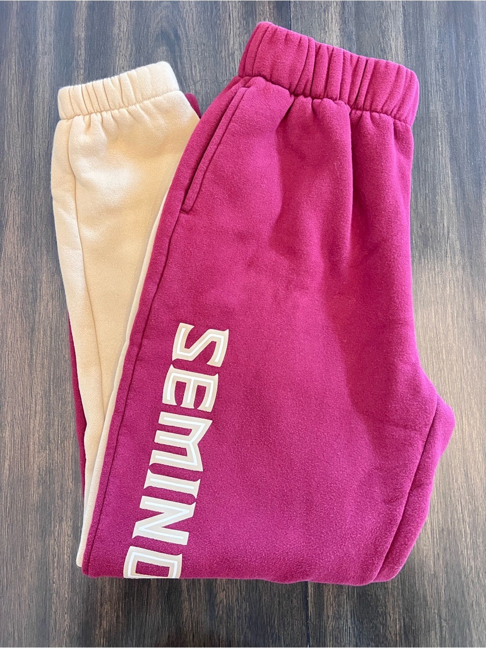 Florida State Seminoles Jogger Sweatpants